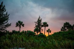 IMG_7466-ti