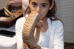 IMG_3115