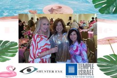0251-Temple_Israel_-_Temple_Royale-d1-template